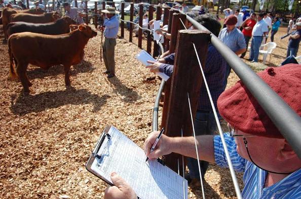 Quimilí se prepara para la Expo Rural 2014