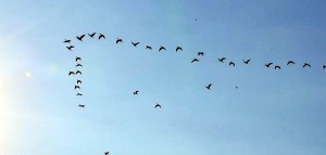 ????????????????????????????????????