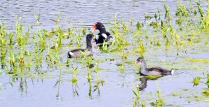 ????????????????????????????????????