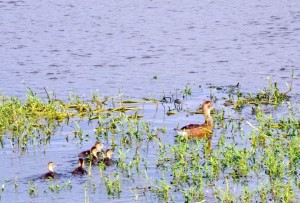 ????????????????????????????????????