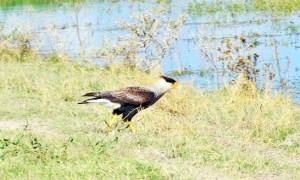 ????????????????????????????????????