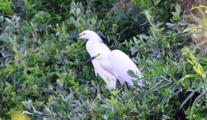 ????????????????????????????????????