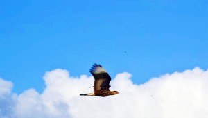 ????????????????????????????????????