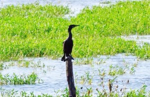 ????????????????????????????????????