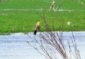 ????????????????????????????????????