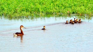 ????????????????????????????????????