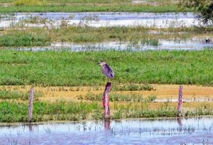 ????????????????????????????????????