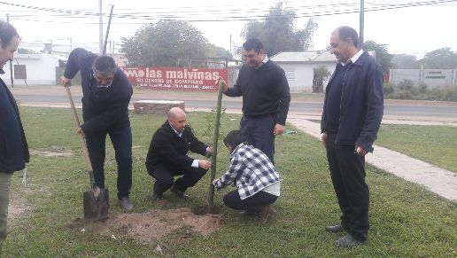 Avanza el Plan de Arbolado Urbano en los barrios bandeños