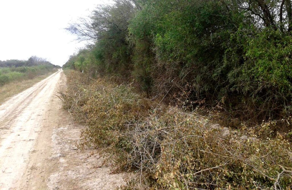 Ejecutan plan de mejoras en caminos vecinales en El Aibe