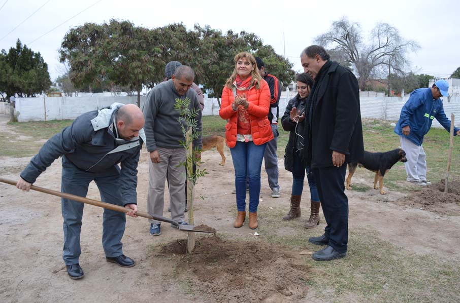 Continúa la plantación de especies arbóreas en la ciudad