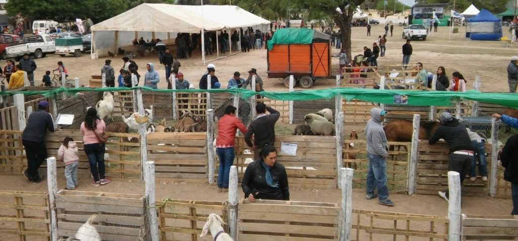 Finalizó la primera Expo Regional Productiva  del sur santiagueño