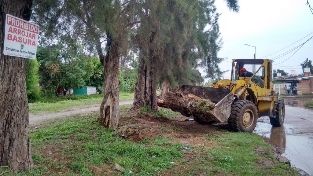 Aumentan los trabajos de desmalezamiento por la época estival
