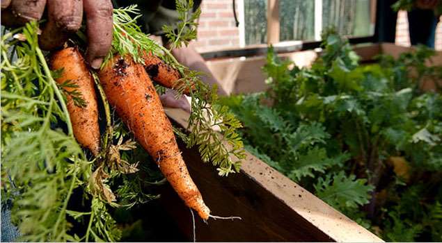 La Banda será sede del 1º Seminario Internacional de Agricultura Urbana