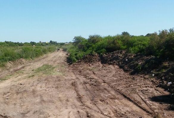 La Municipalidad de Beltrán realiza la limpieza y ensanchamiento de caminos vecinales