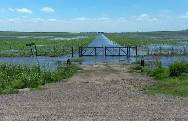 Medio millar de productores padecen la inundación en el sudeste santiagueño