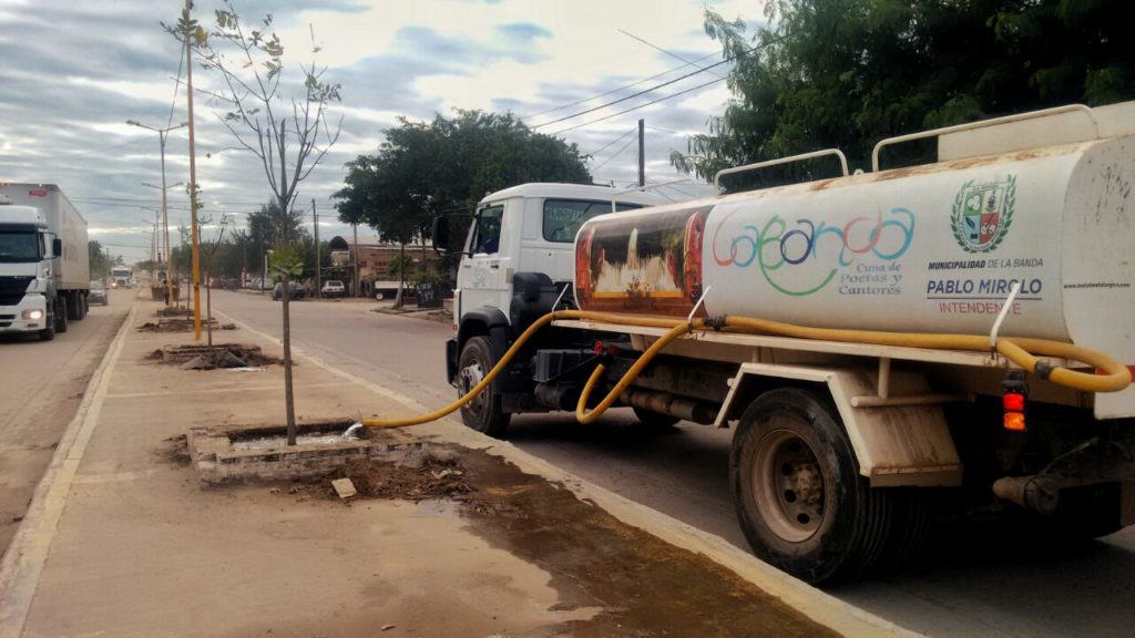 El Plan de Arbolado Urbano superó los 15 mil ejemplares plantados