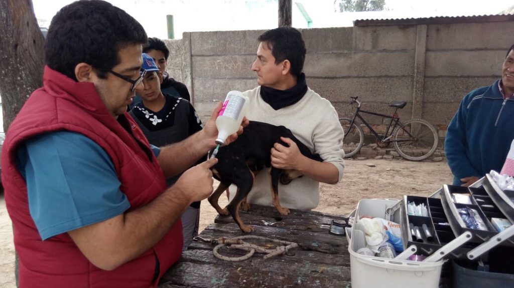 El Municipio impulsa políticas públicas de protección y bienestar animal