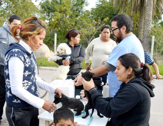 Sanidad Animal suspende turnos para castraciones por inspecciones