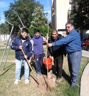 Empleados del IPVU realizaron tareas de forestación en El Palomar