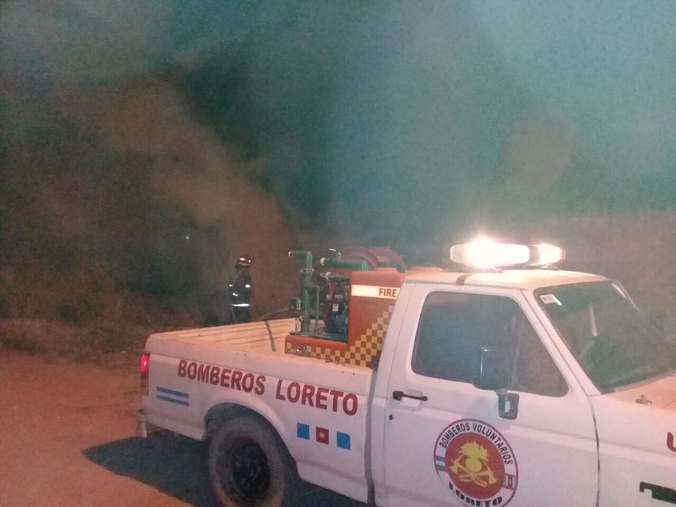 Bomberos loretanos salvaron del fuego a 16 cachorritos Bomberos loretanos salvaron del fuego a 16 cachorritos