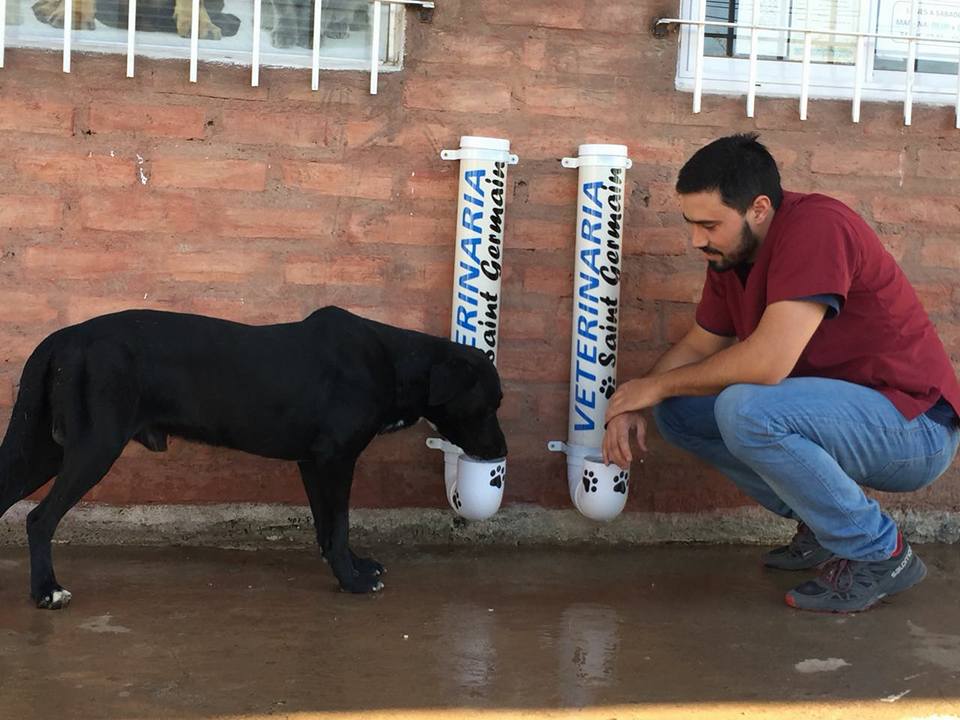 Crearon bebedero y comedero para perros callejeros en el barrio Saint Germain