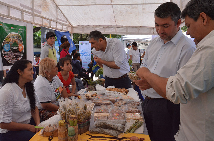 El Pro Huerta celebró sus 25 años en la provincia con una gran feria en la Plaza Belgrano