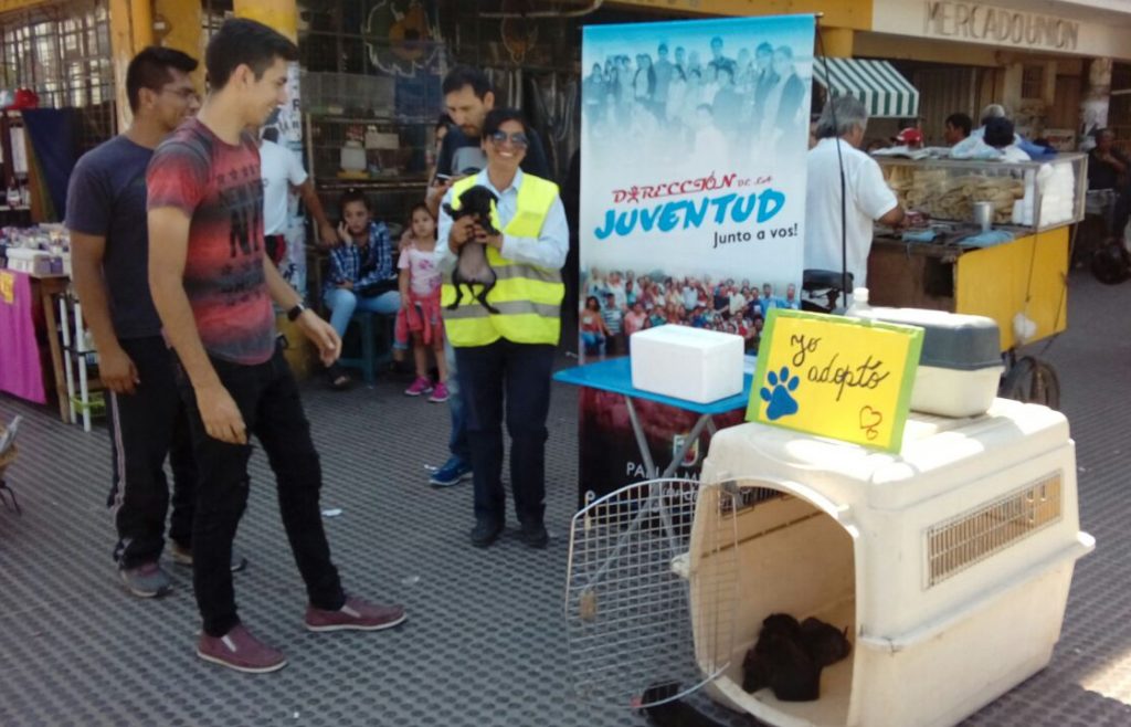 Realizaron una campaña de adopción de cachorros en el centro bandeño