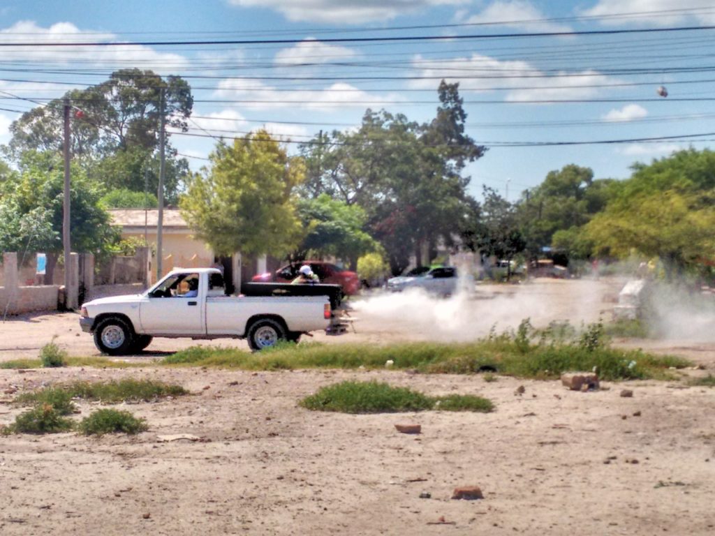 La comuna continúa trabajando en el plan de prevención de plagas