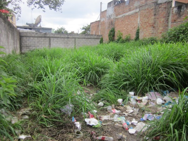 Aprobaron la creación del programa “Patios urbanos” para erradicar terrenos baldíos