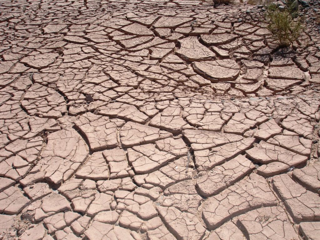 Agropecuarios de Rivadavia enfrentan la peor sequía de los últimos 70 años