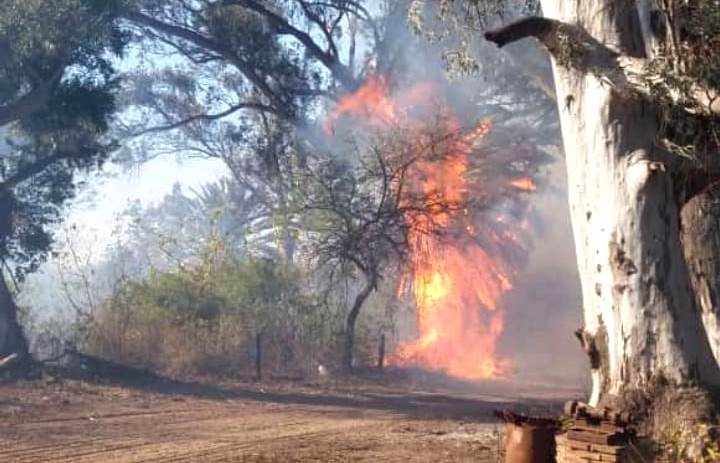 Un incendio generó gran temor en la comunidad de La Falda