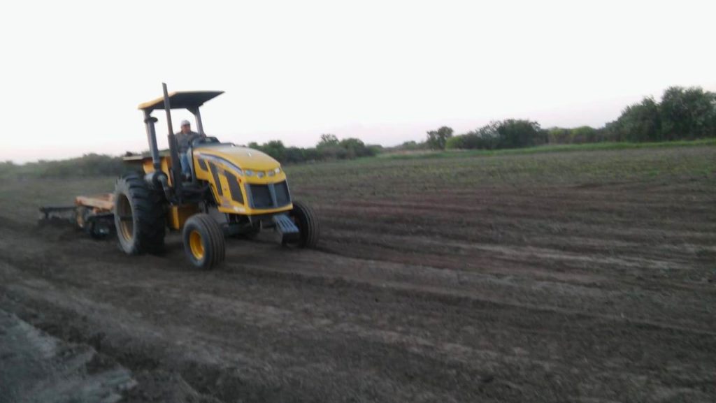 Pequeños productores tienen grandes expectativas en esta temporada Pequeños productores tienen grandes expectativas en esta temporada