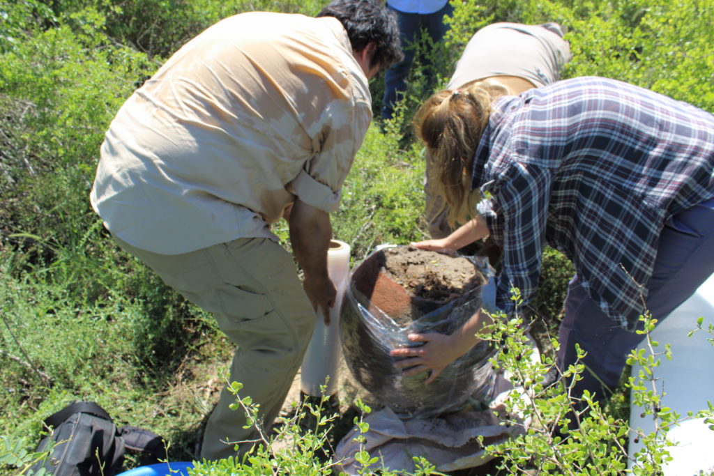 Villa Salavina: Un vecino realizó un “hallazgo con características excepcionales”