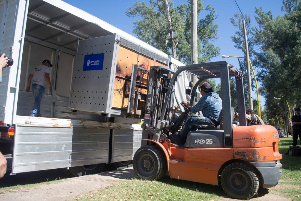“Continuamos trabajando por los animales restantes para que su traslado sea pronto”