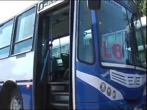 Ratificaron la gratuidad del servicio de transporte público para las personas con discapacidad