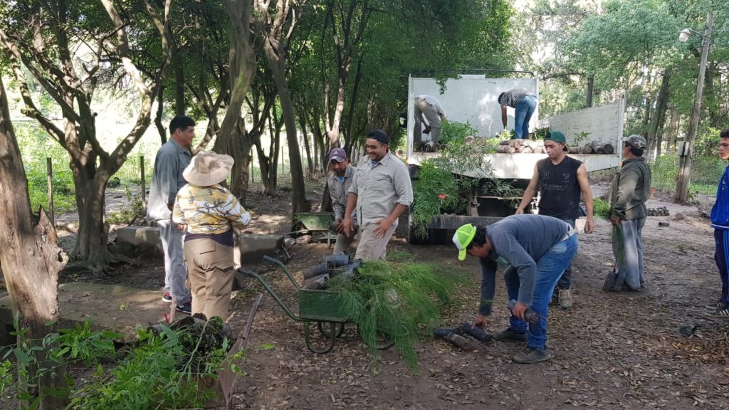 Darán un nuevo impulso a la campaña de reforestación de la ciudad de Fernández