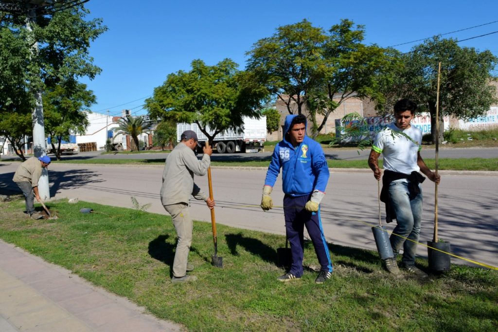 Intensifican las tareas de reforestación en la ciudad de Fernández