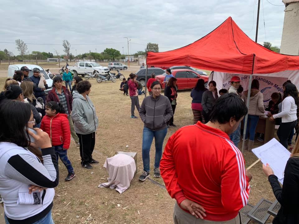 Realizarán castraciones gratuitas a perros y gatos en Loreto