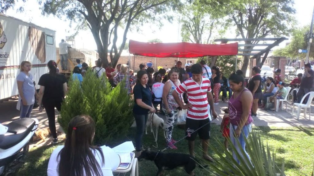 Exitosa campaña de vacunación y castración en Nueva Esperanza