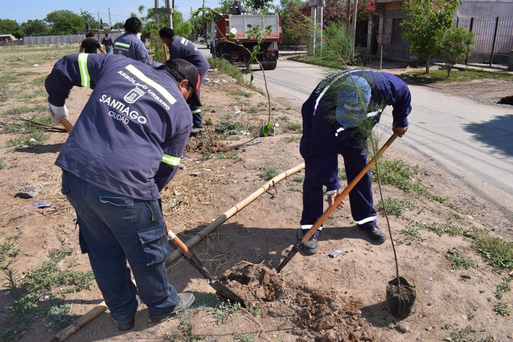 En lo que va del año, se plantaron más de 40.000 árboles en la “Madre de Ciudades”