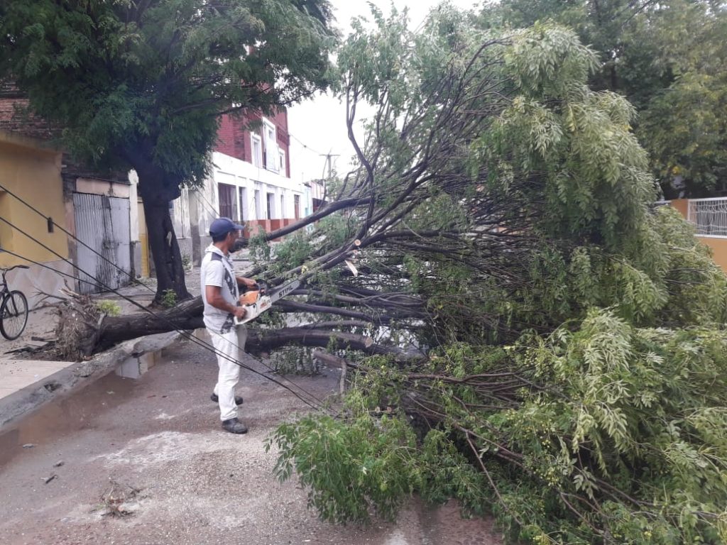 Voladuras de techos, caída de árboles y cortes de cables en Clodomira por la tormenta