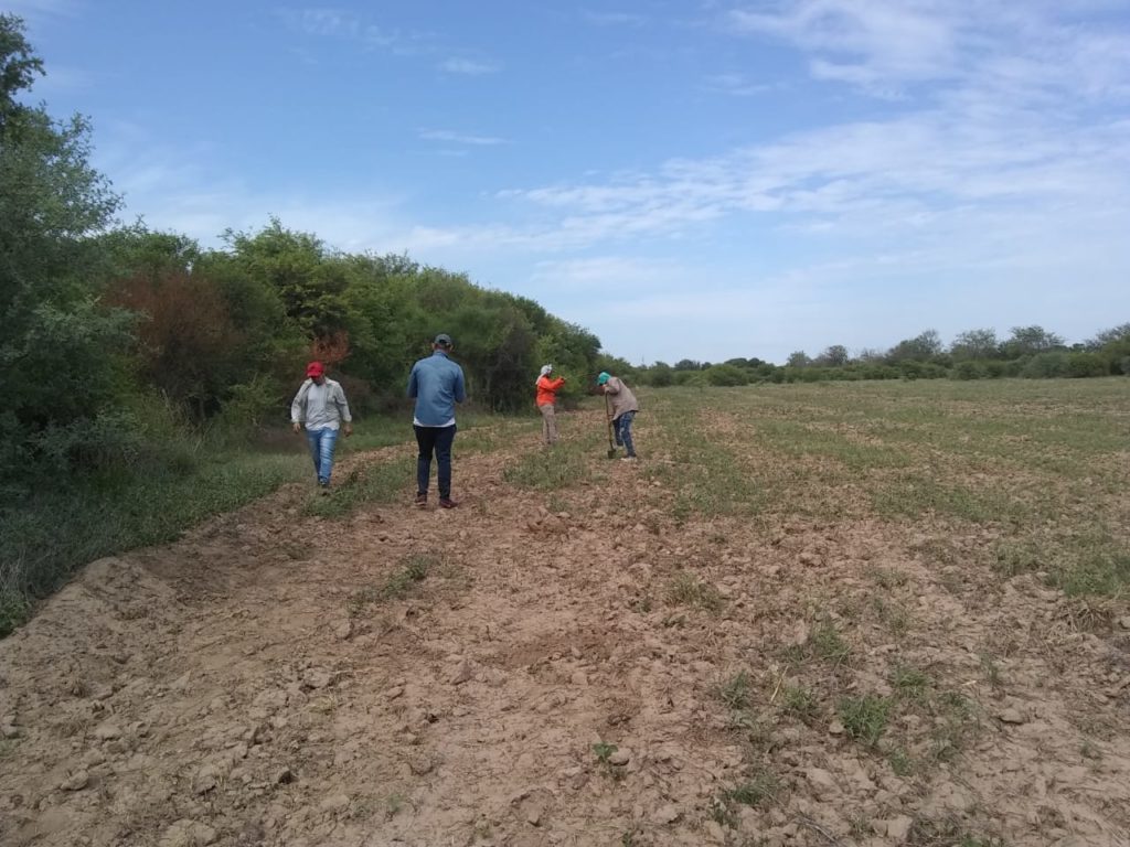 Colocarán 4 mil plantines de algarrobo blanco en Puestito de San Antonio
