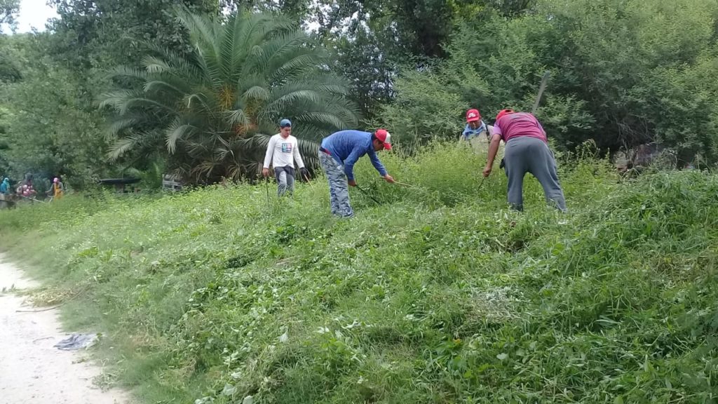 Continúan los operativo de desmalezamiento y limpieza en los barrios de Clodomira