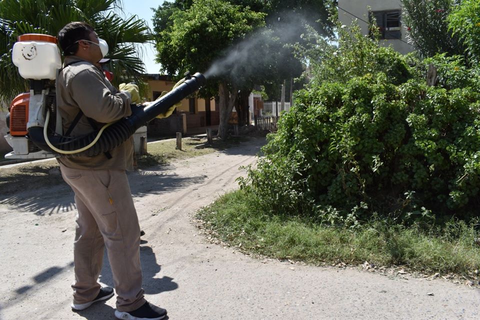 Dengue: Se registran 195 casos en cinco departamentos