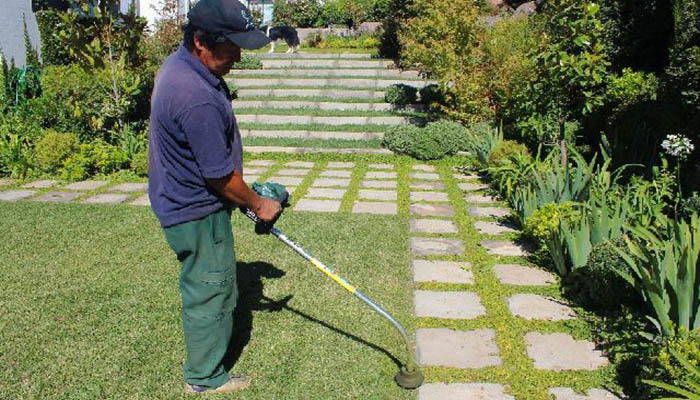 Te contamos cómo acceder y a quiénes alcanza los $10 mil anunciado por el Gobierno Te contamos cómo acceder y a quiénes alcanza los $10 mil anunciado por el Gobierno
