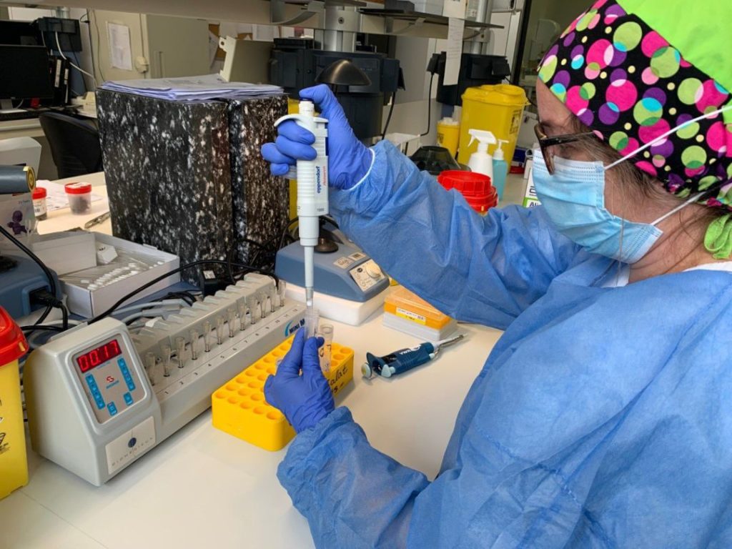 Se confirmó un caso de coronavirus en el departamento Robles Se confirmó un caso de coronavirus en el departamento Robles