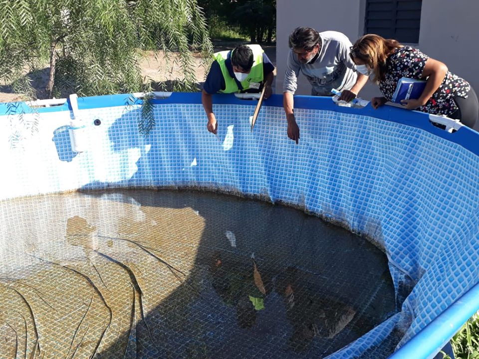 Los casos confirmados de dengue rozan los 700 en toda la provincia Los casos confirmados de dengue rozan los 700 en toda la provincia