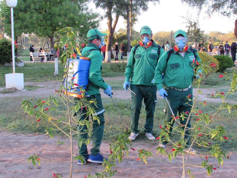 Colonia El Simbolar redobla su lucha para evitar la propagación del dengue