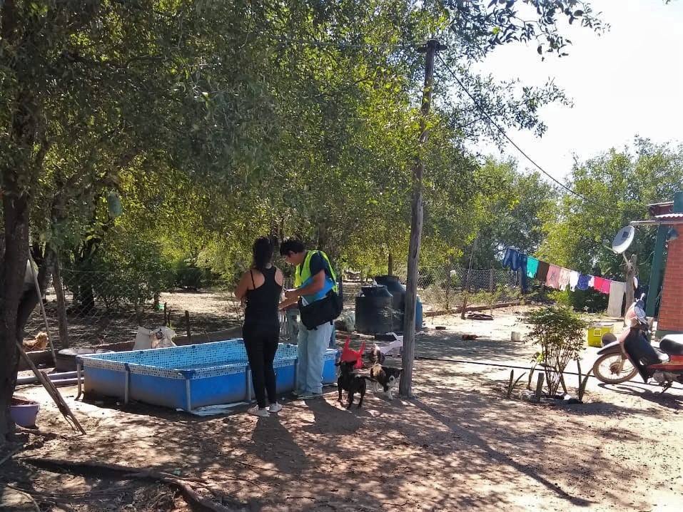 Ascienden a 500 las personas con dengue en todo Santiago Ascienden a 500 las personas con dengue en todo Santiago