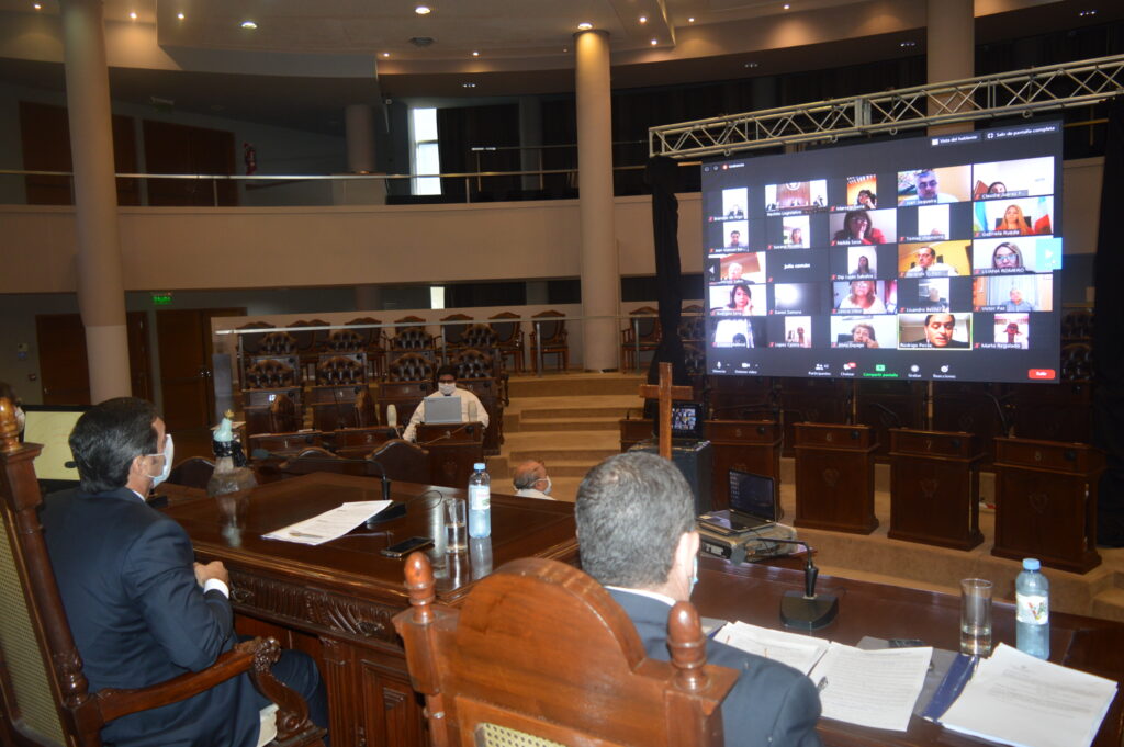 Diputados participaron de la primera sesión virtual de su historia Diputados participaron de la primera sesión virtual de su historia